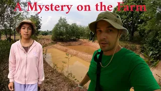 A Mystery on the Farm | Happy Village | Thailand