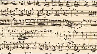 VIVALDI Early Violin Concerto RV 813 (formerly RV Anh. 10) in D minor (Vienna manuscript)