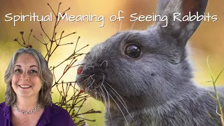 Spiritual Meaning of Seeing Rabbits 🐰🐰