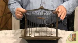 Old Bid Cages - What You Should Look For When Treasure Hunting