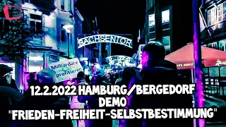 12.2.2022 Hamburg-Bergedorf - Demo für "Frieden, Freiheit und Selbstbestimmung"