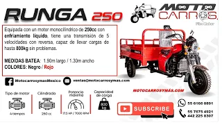 MOTOCARRO ZMOTO RUNGA 250cc (motocarrosymas.com)