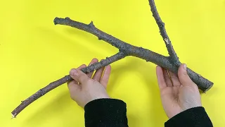 You Will Be Surprised What I Did With The Tree Branch I Found On The Road!