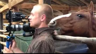 FUNNY Horse Nibbling Cameraman's Ear while TV interview is On