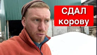 СДАЛ КОРОВУ