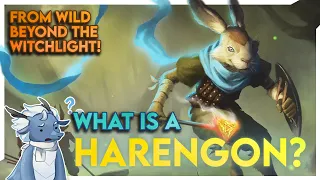 THE HARENGON joins D&D! Full Breakdown of the New Race from Wild Beyond the Witchlight!