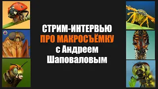 Стрим-интервью ПРО МАКРОФОТОГРАФИЮ с Андреем Шаповаловым