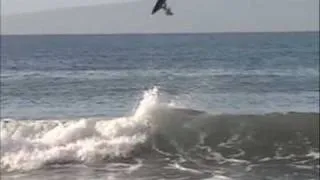 (RC Surfing) Hawaiian Style