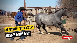 D/C  CATCHING "DIFFICULT" HORSES MADE EASY  |  Have Your Horse Come To You Every Time