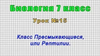 Биология 7 класс (Урок№15 - Класс Пресмыкающиеся, или Рептилии.)