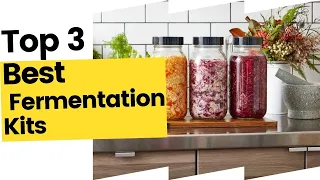 Best Fermentation Kits, According to Kitchen Experts in 2023