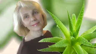 Больше ни один волос не упадет с головы! Уникальная маска с алоэ (aloe)