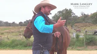 How we should act around our horses.