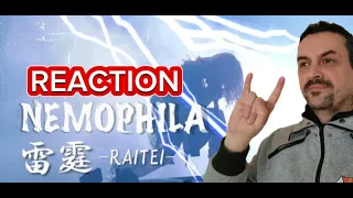NEMOPHILA  雷霆 -RAITEI- [Official Live Video]  reaction