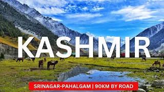 Srinagar To Pahalgam| Kashmir Tourism| Apple Gardens