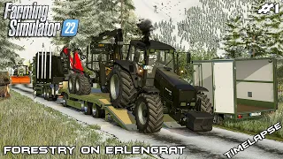Cutting and transporting WOOD in the SNOW | Forestry on ERLENGRAT | Farming Simulator 22 | Episode 1
