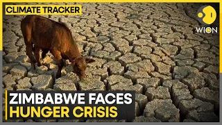 Southern Africa hit by climate change, Zimbabwe declares drought a natural disaster? | WION