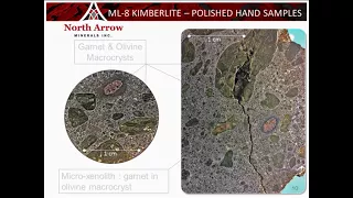 Mel Diamond Discovery Video Presentation