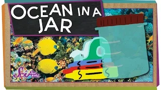 Make the Ocean in a Jar!
