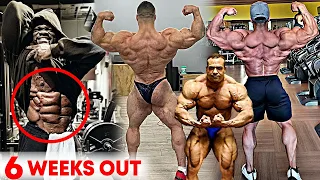 New York Pro 2021 - 6 Weeks Out - 11 Contenders Update