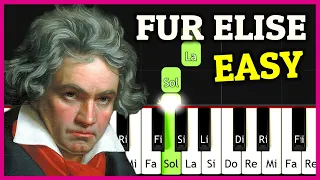 La forma MÁS SENCILLA de tocar PARA ELISA Piano Tutorial 👉 Beethoven Piano Fácil + Notas Synthesia