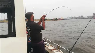 Crazy Fishing Action On The Boat. Fishing Durban Harbour, KZN, South Africa.
