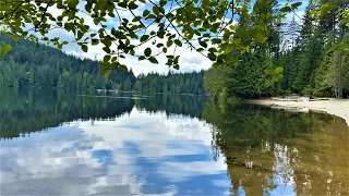 Sasamat Lake | Hidden Gem off Greater Vancouver, British Columbia, Canada (Virtual Hike - Half Loop)