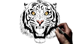 How To Draw a Tiger (Roaring) | Step By Step