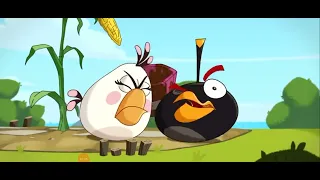 la guerra vegetal /angry birds toons/parodia