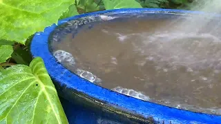 Build a Simple Water Feature
