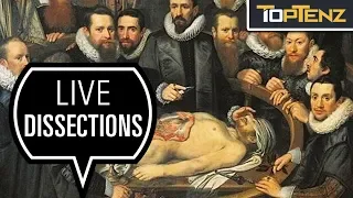 Top 10 Astonishing Things You Didn’t Know About Human Dissection