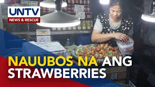 Pagtaas sa presyo ng strawberry sa Baguio City, nagpahina sa bentahan