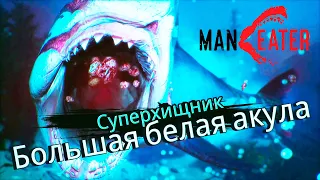 БОЛЬШАЯ БЕЛАЯ АКУЛА - #8 MANEATER