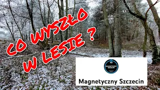 Leśne, mroźne wykopki z @Magnetycznyszczecin