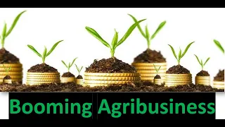 Agribusiness Management - Scope And Importance