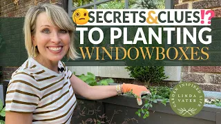 Tips and Tricks to Planting Windowboxes