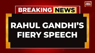 Lok Sabha Elections: Rahul Gandhi's Mega Address In Delhi | Rahul Gandhi Speech | INDIA TODAY LIVE