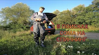 Рыбалка на Сома. В поисках сома на спиннинг.