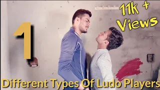 Different Types Of Ludo Players | DustOfFun