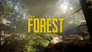 Обезьяны в The Forest