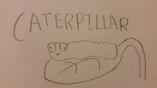 Caterpillars: Song by brian david gilbert
