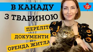 ПЕРЕЇЗД В КАНАДУ З ДОМАШНІМ УЛЮБЛЕНЦЕМ.ДОКУМЕНТИ, ПЕРЕЛІТ, ПОШУК ЖИТЛА І ДОДАТКОВІ ВИТРАТИ