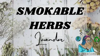 How To Smoke Lavender Taste & Feel || A Beginners Guide To Smokable Herbs || Smoking Lavender Review