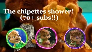 The chipettes - shower ( 70+ subs!!)