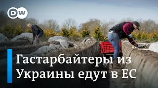 На перекладных: гастарбайтеры из Украины едут в ЕС, несмотря на карантин