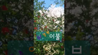 이불 #영탁