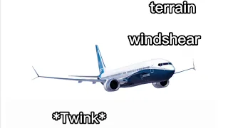 Please stop saying dumbass things, 737