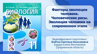 Тема 53. Факторы эволюции человека. Человеческие расы. Эволюция человека на современном этапе