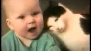 Приколы с Котами - Смешные коты и кошки 2017 | ПОПРОБУЙ НЕ ЗАСМЕЯТЬСЯ - смешное видео про котов