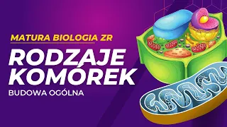 Rodzaje komórek. Budowa ogólna. MATURA BIOLOGIA ZR